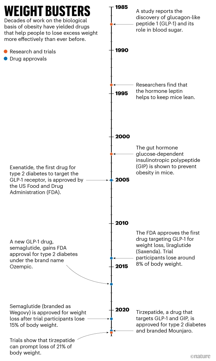 How two obesity drugs trounced a luxury giant