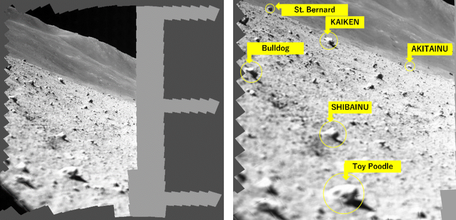 SLIM's camera captured an image of a landscape covered in rocks, which the researchers named after dogs.