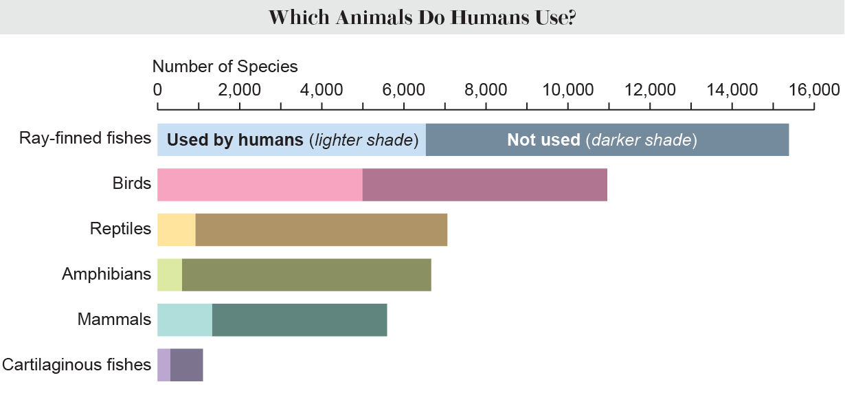 Stacked bar chart shows number of species used and not used by humans in each of six classes of animals: bony fishes, birds, reptiles, amphibians, mammals and cartilaginous fishes.