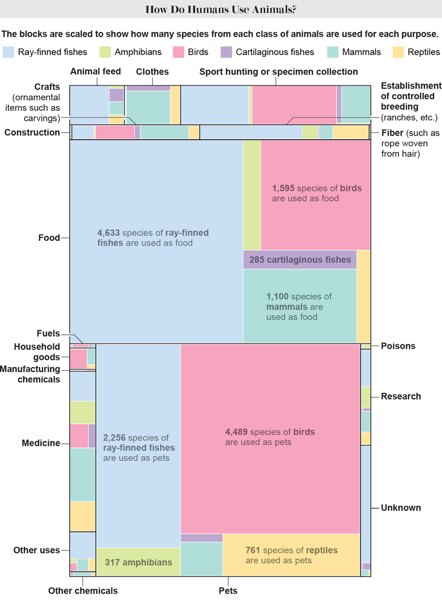 Tree map highlights 18 different purposes that humans use animals for and shows the number of species from each class of animals used for each one.