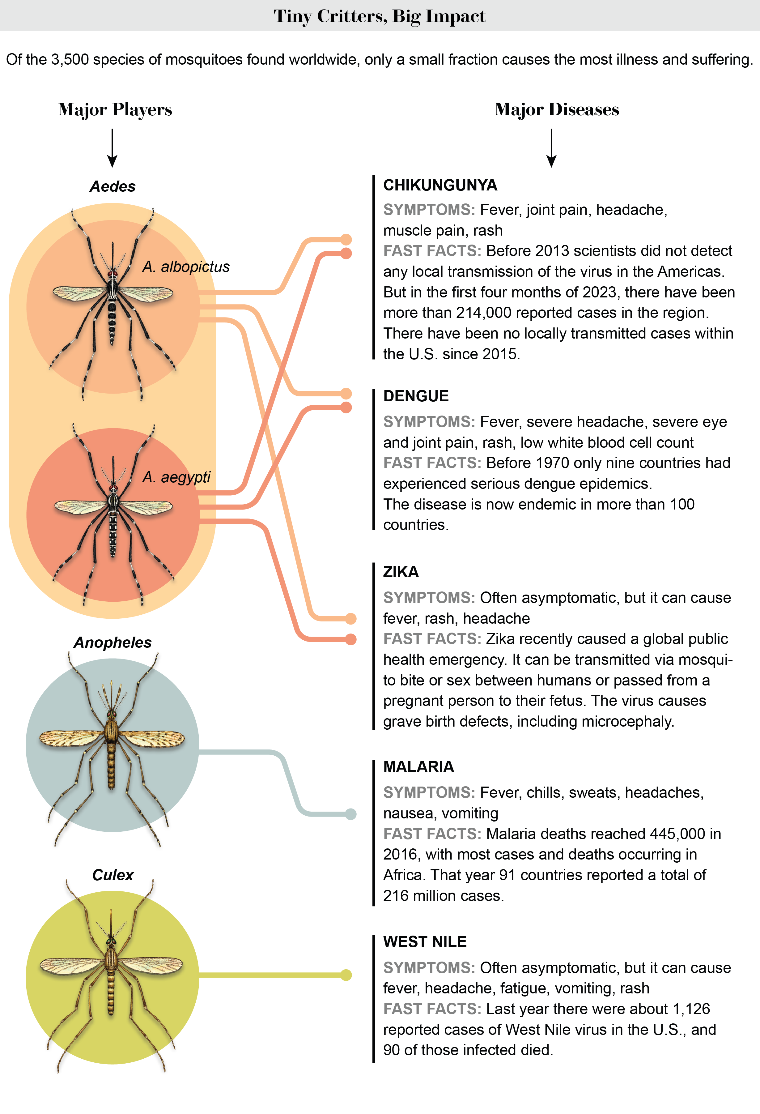 An infographic shows different mosquito species and the types of diseases they carry.