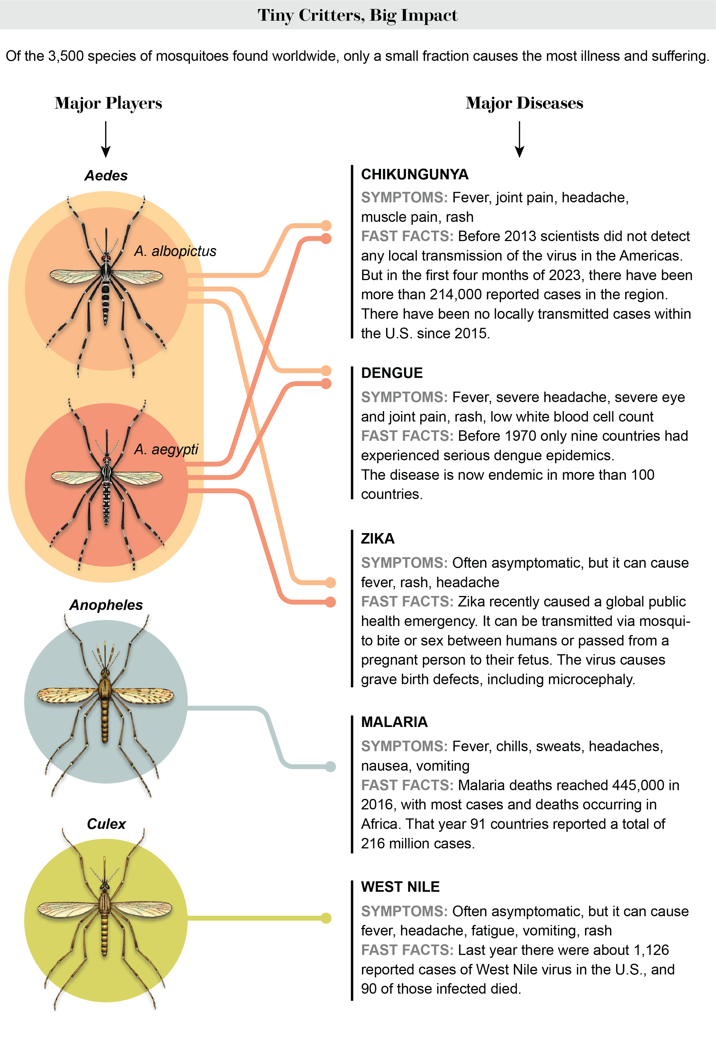 Mosquitoes Carry Nasty Diseases. Here's How to Protect Yourself