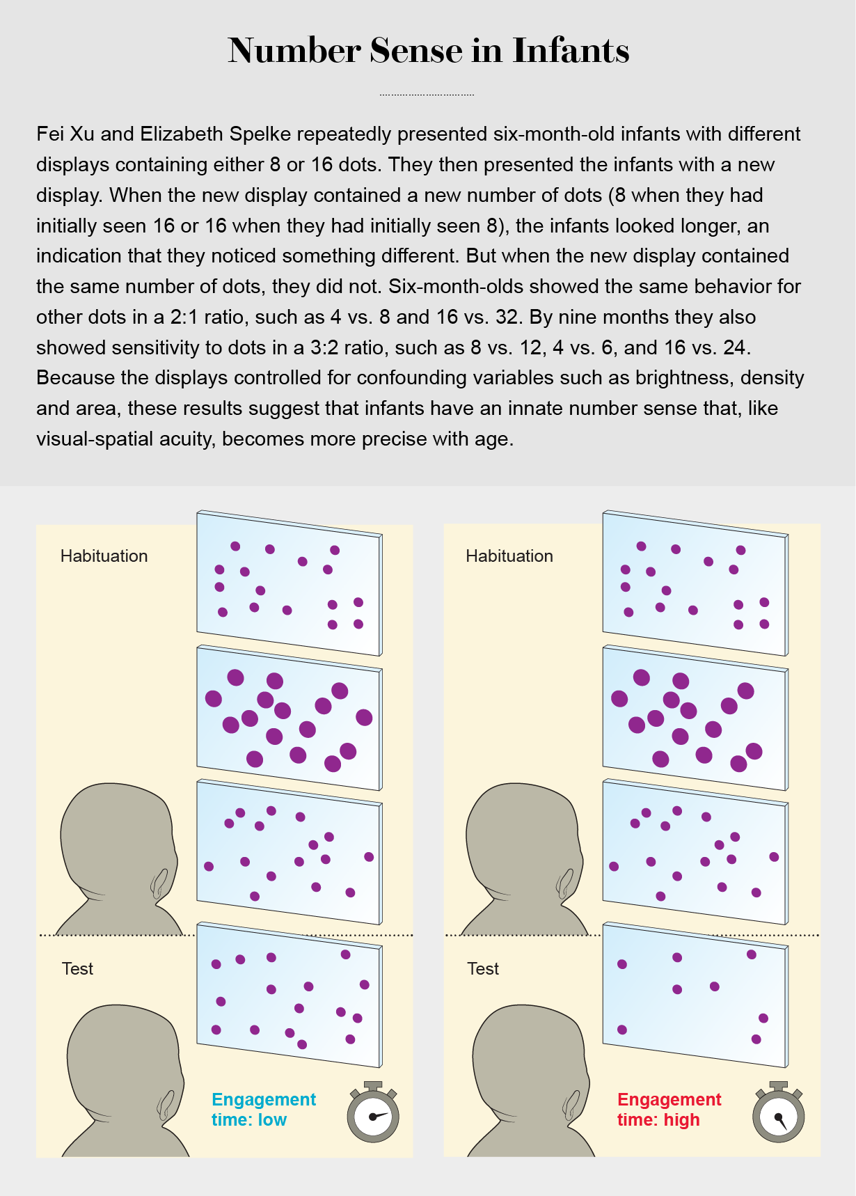 Graphic depicts an experiment where infants were shown a series of displays containing dots in various sizes and arrangements. The babies looked longer when a display in the series showed a different number of dots than they had seen before, as opposed to a different iteration of the same number.