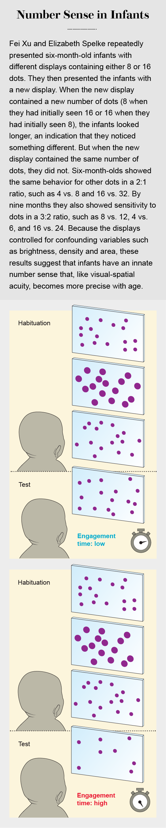 Graphic depicts an experiment where infants were shown a series of displays containing dots in various sizes and arrangements. The babies looked longer when a display in the series showed a different number of dots than they had seen before, as opposed to a different iteration of the same number.