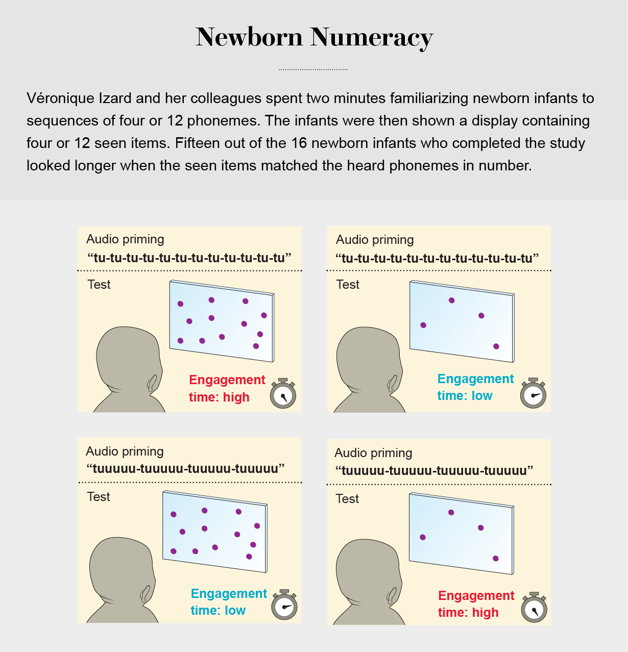 Graphic depicts an experiment in which infants were shown displays containing certain numbers of items while hearing sequences of phonemes. The babies looked longer when the number of seen items matched the number of times the phoneme was repeated.
