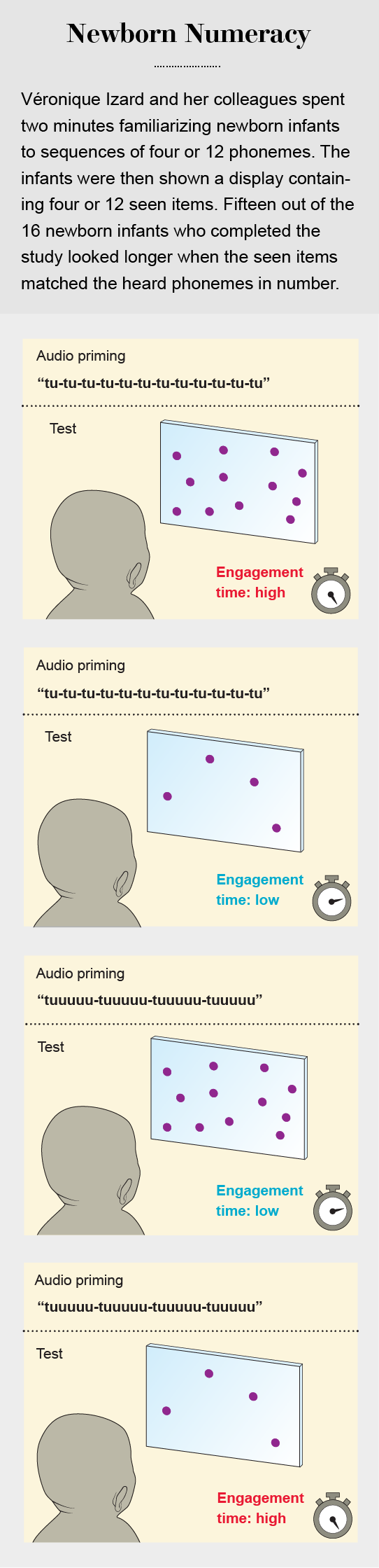 Graphic depicts an experiment in which infants were shown displays containing certain numbers of items while hearing sequences of phonemes. The babies looked longer when the number of seen items matched the number of times the phoneme was repeated.
