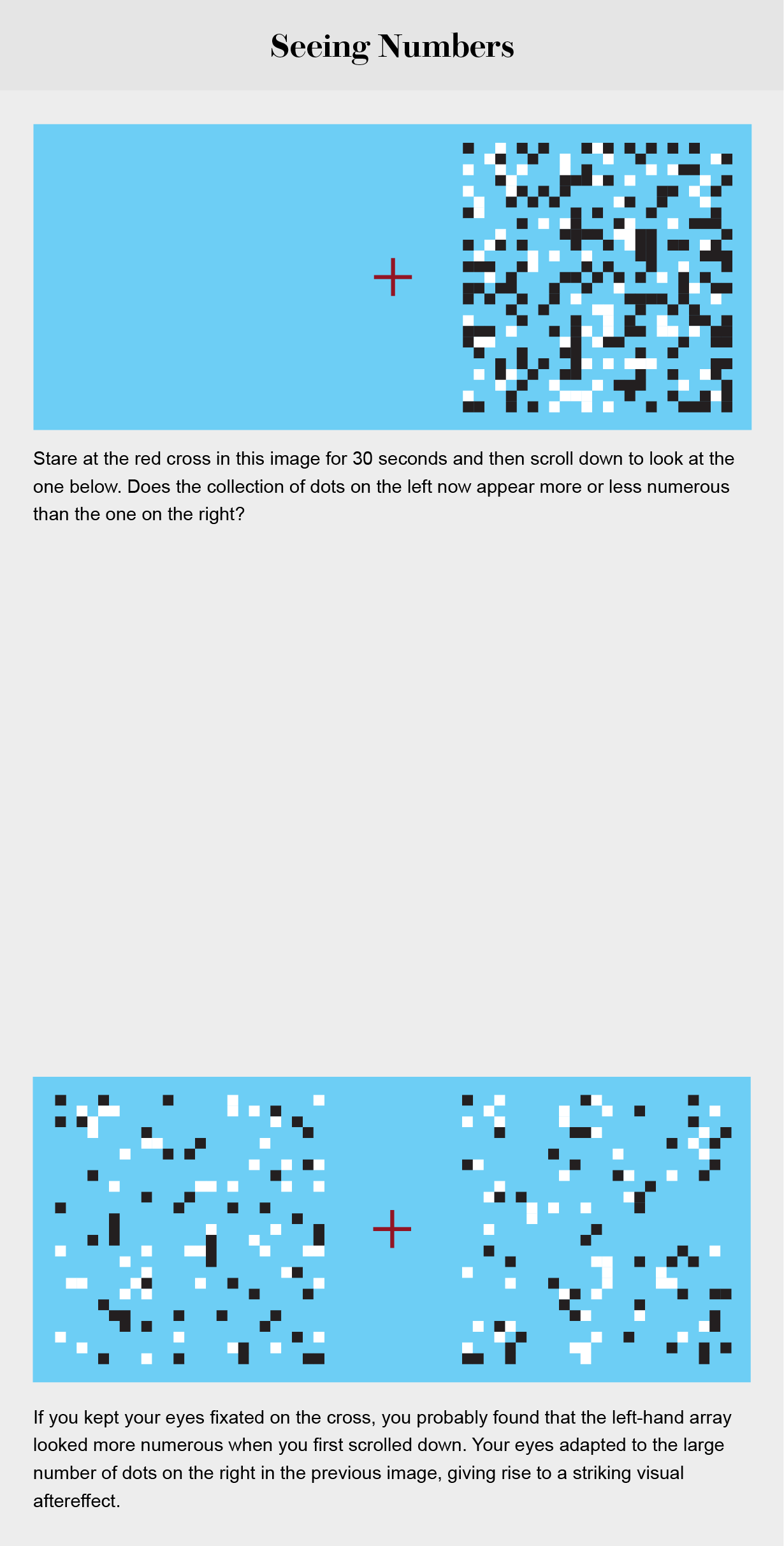 Optical illusion shows how our eyes adapt to a large number of dots in one area, making a subsequent, equally sized field of dots in the same position appear less crowded than it really is.