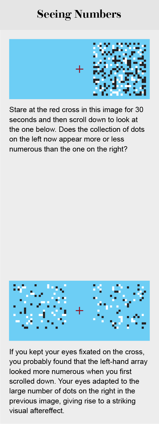 Optical illusion shows how our eyes adapt to a large number of dots in one area, making a subsequent, equally sized field of dots in the same position appear less crowded than it really is.
