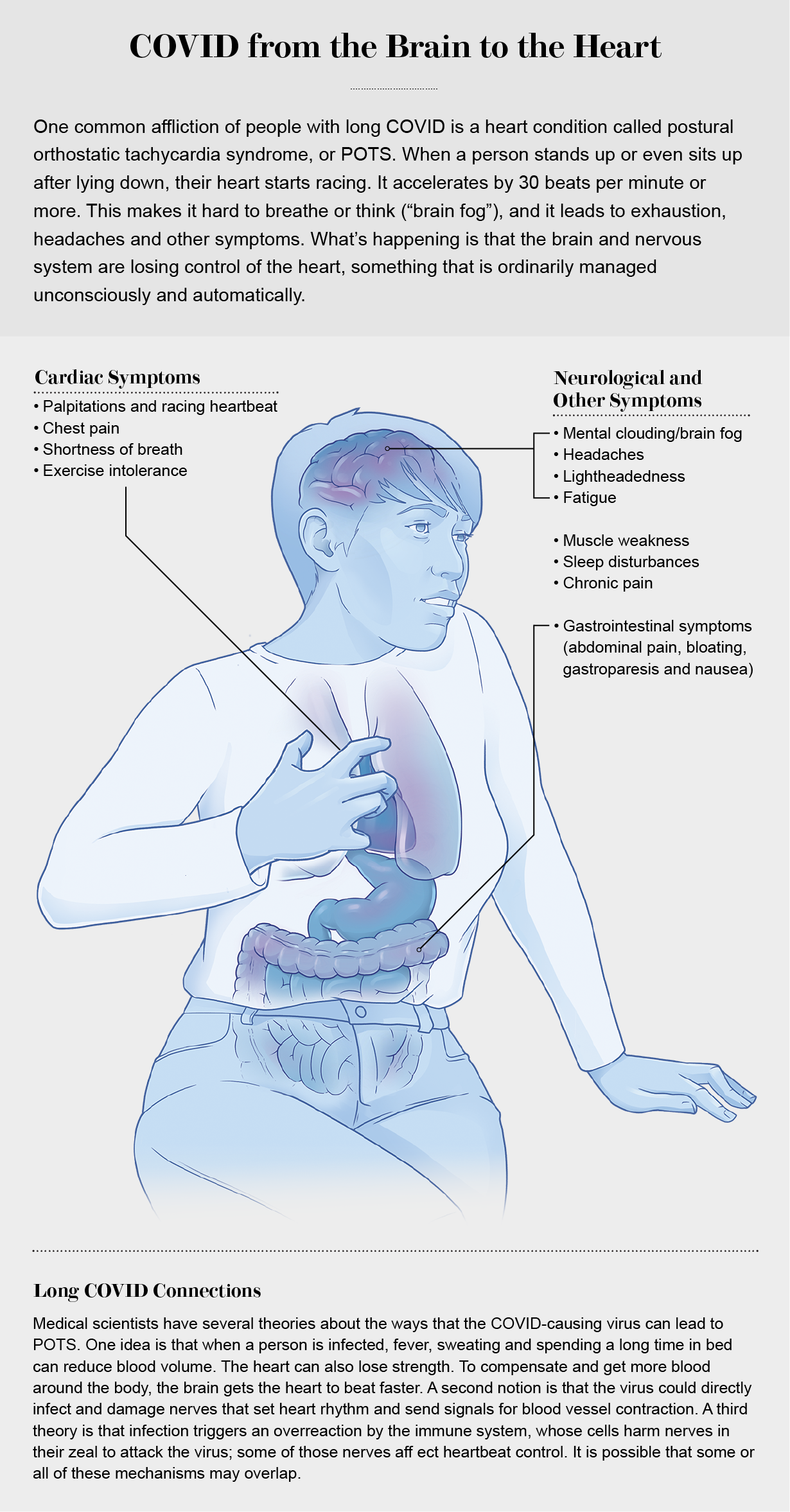 Graphic highlights cardiac, neurological and other types of symptoms associated with long COVID.