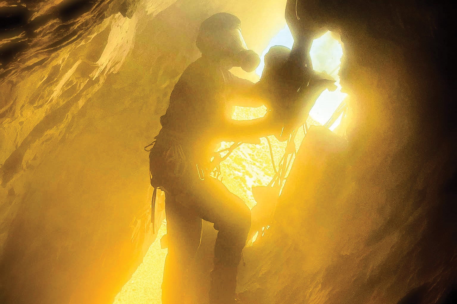 A biologist cuts through a hyrax midden with a saw in a golden-hued image.