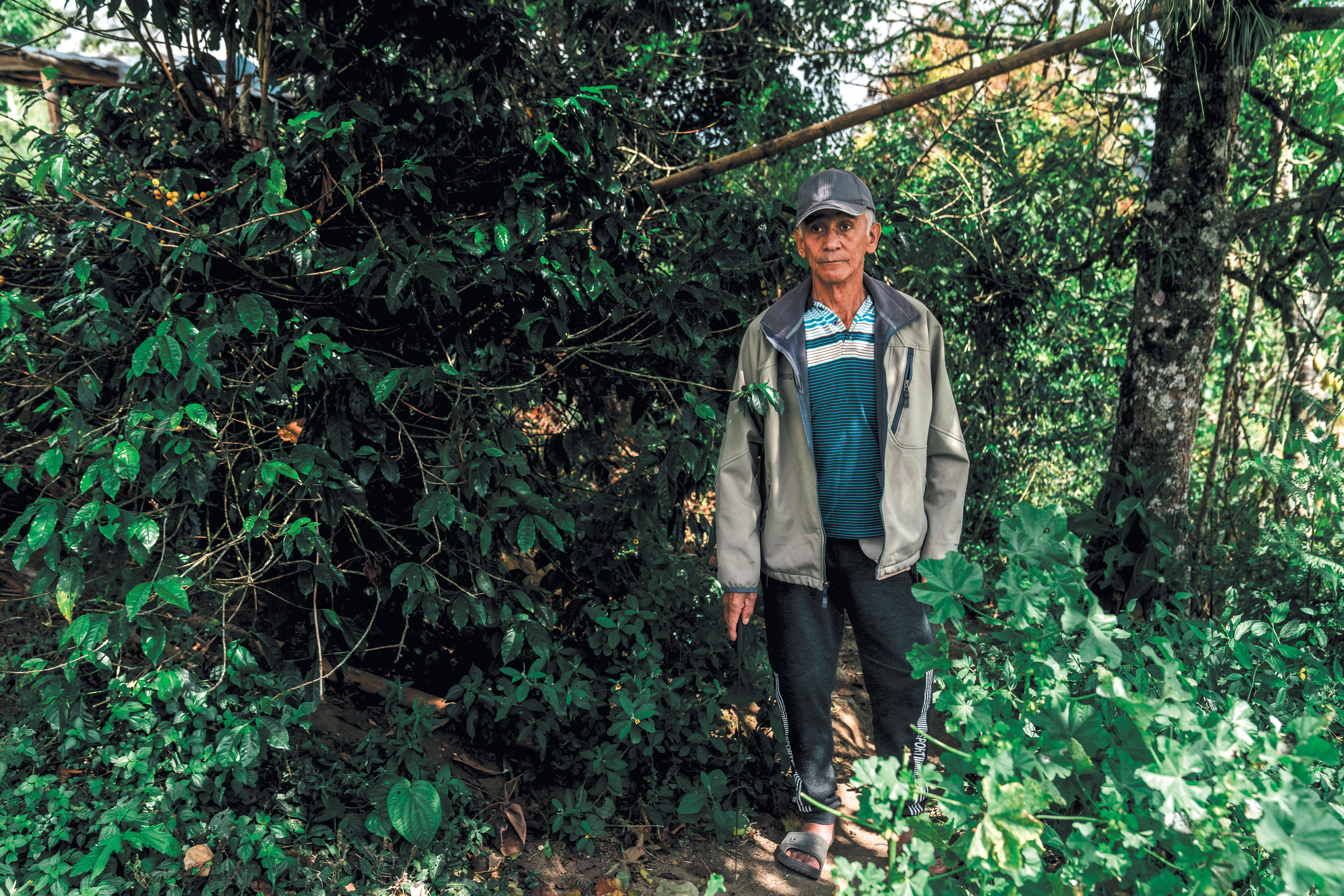 Erney Arboleda standing next to a coffee tree.