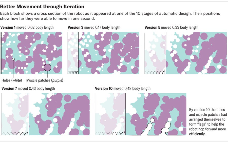 Each of five blocks shows a cross section of the robot as it appeared at one of the 10 stages of automatic design. Colored and white circles show changing arrangements of holes and muscle patches, and block positions show how far they were able to move in one second.