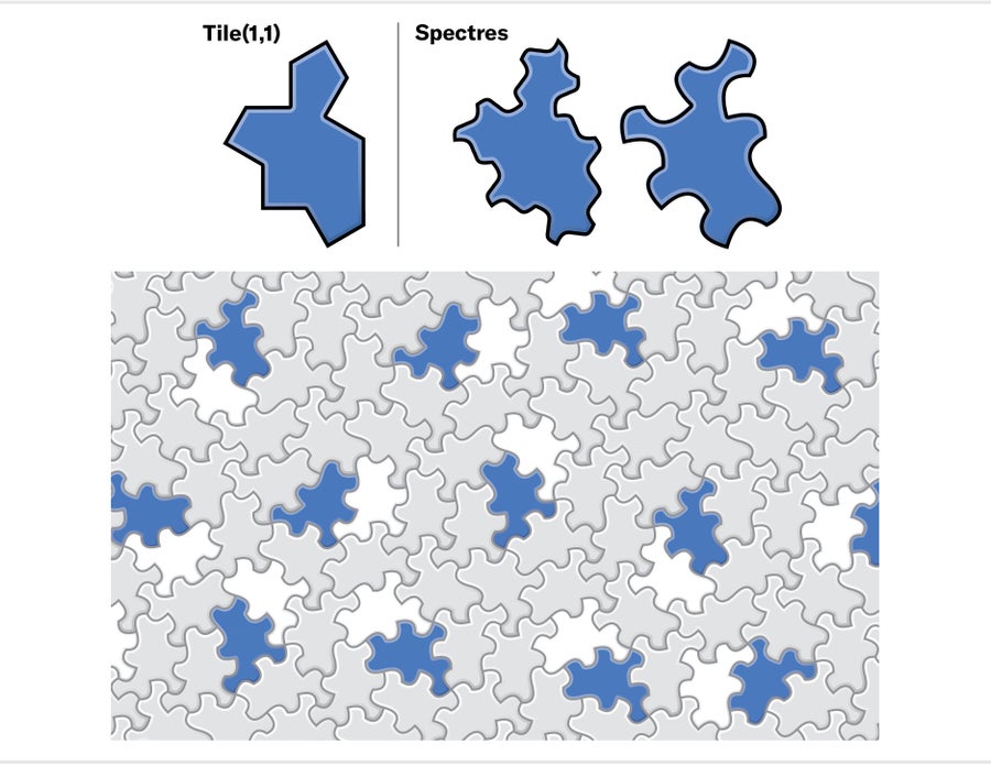 Tile one, one shown with straight edges, followed by two variations on that tile with curved edges. A tile pattern shows one of the curved examples without reflected tiles in play.