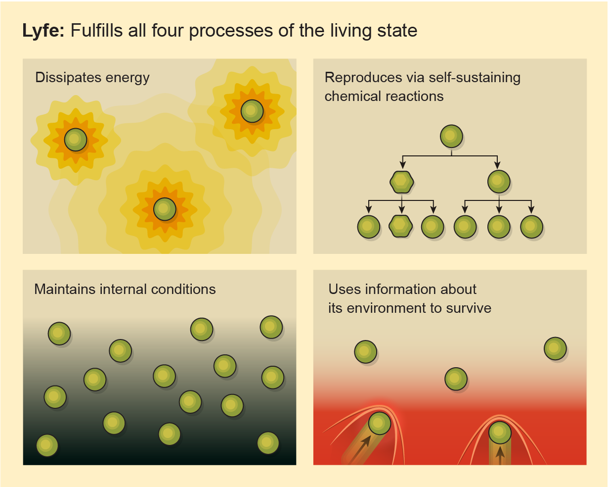 Conceptual graphic visualizes the idea of “lyfe” defined as a system that fulfills all four processes of the living state.