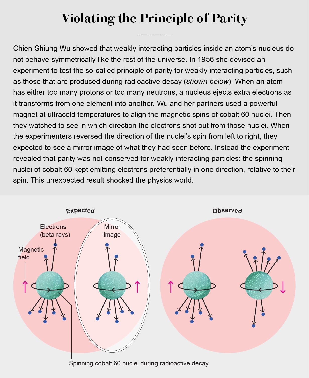 Graphic compares the expected and observed behavior of cobalt 60 nuclei in Wu’s test of the principle of parity for weakly interacting particles.