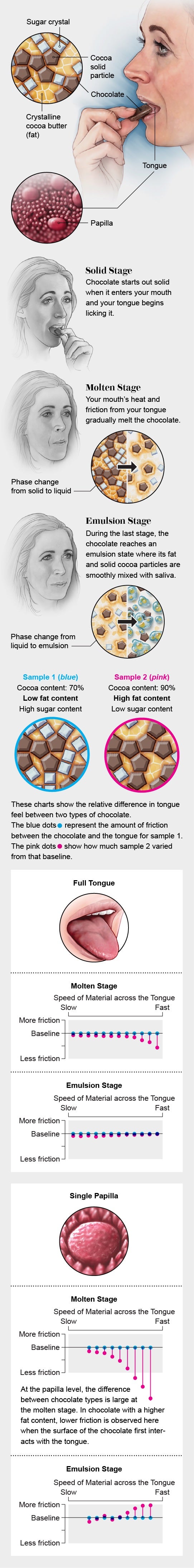 The Science of Melting Chocolate | Scientific American