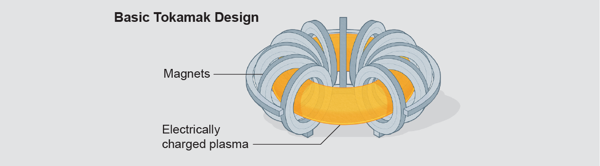 Graphic shows the basic design of the tokamak reactor.