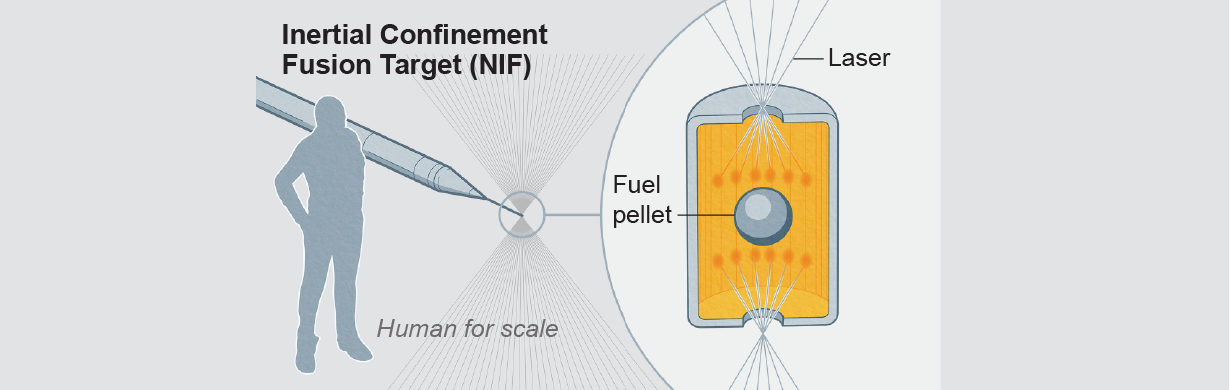 Graphic shows design and scale of the inertial confinement fusion target in the NIF experiment.
