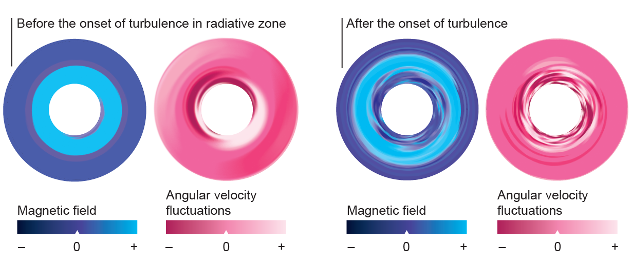 Graphic uses color coding to indicate magnetic field strength and angular velocity fluctuations in the radiative zone before and after the onset of turbulence.