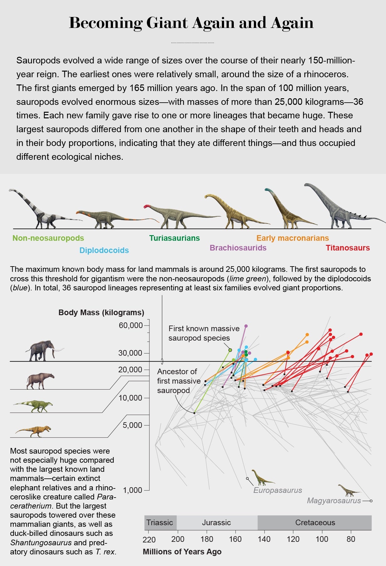 Chart plots massive sauropod species according to their body mass and how long ago they and their respective ancestors evolved, highlighting 36 separate lineages that grew to more than 25,000 kg.