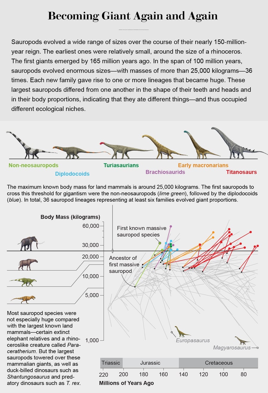 Chart plots massive sauropod species according to their body mass and how long ago they and their respective ancestors evolved, highlighting 36 separate lineages that grew to more than 25,000 kg.