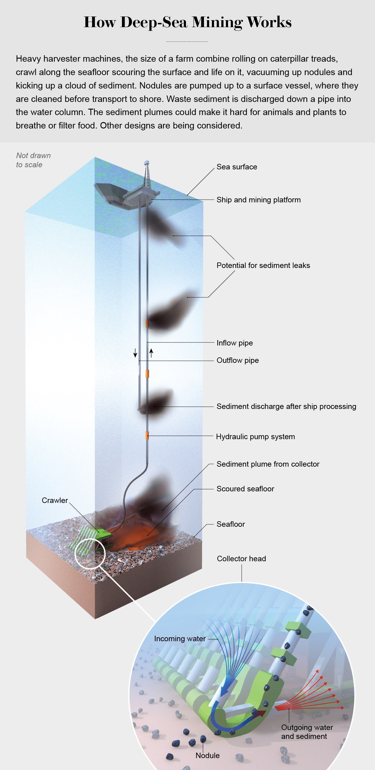 Graphic shows how harvester machines scour the seafloor, vacuuming up nodules and pumping them up to a surface vessel, kicking up sediment plumes in the process.