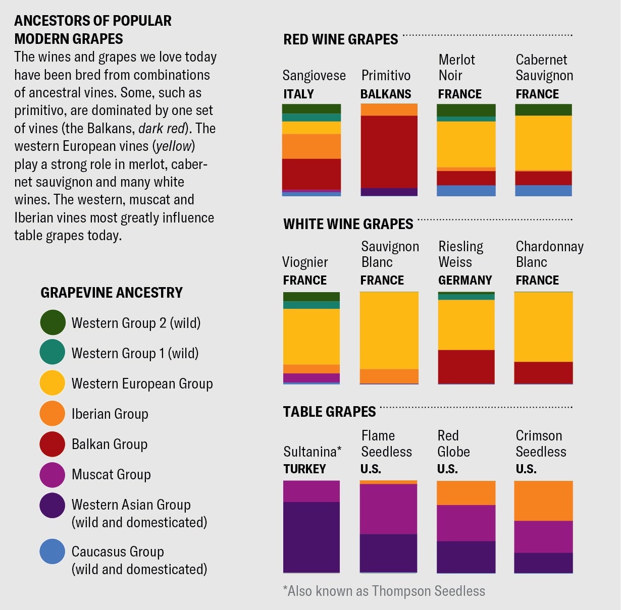 Stacked bar charts show the ancestral makeup of 12 popular modern wine and table grapes. Some, such as primitivo, are dominated by one set of vines (the Balkan group). The western European vines play a strong role in merlot, cabernet sauvignon and many white wines.
