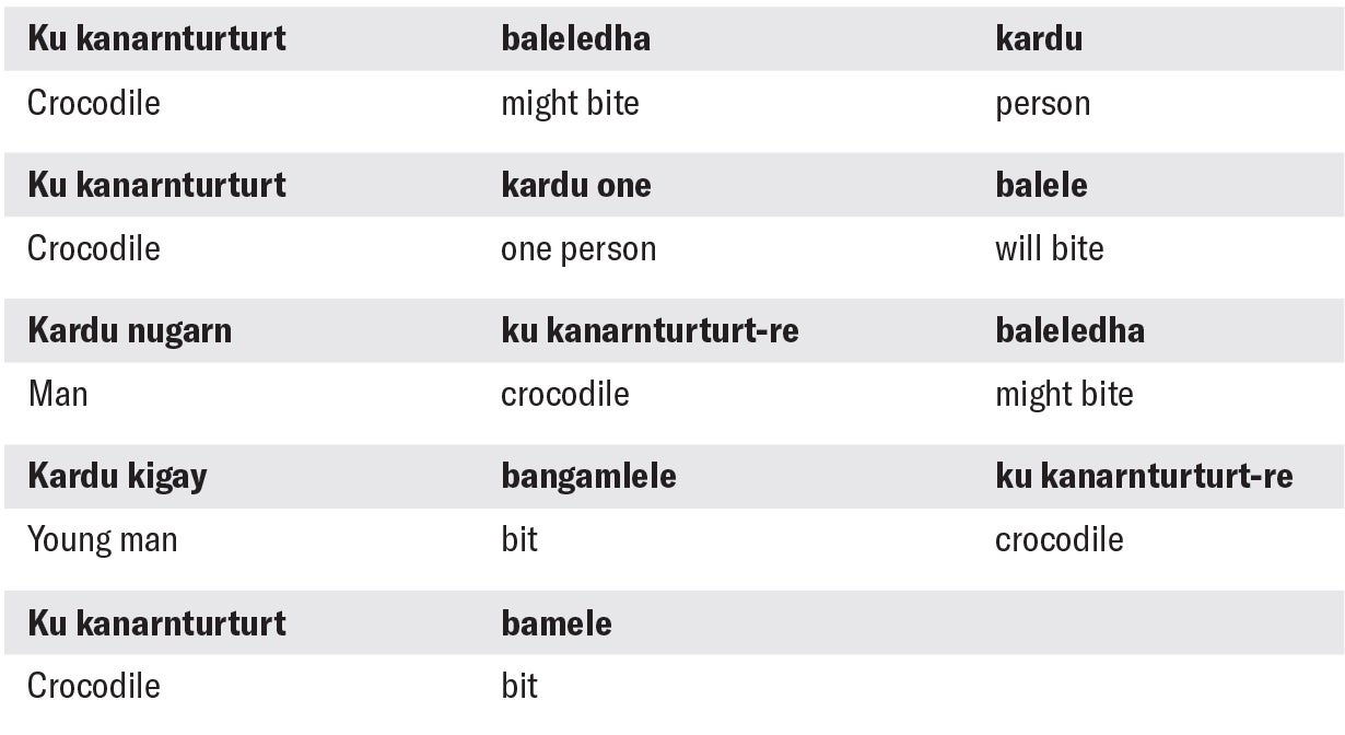 Table of words breaks down various sentences describing the same picture to illustrate the freedom of word order among Murrinhpatha speakers. Examples include “Ku kanarnturturt baleledha kardu” (“Crocodile might bite person”) and “Kardu nugarn ku kanarnturturt-re baleledha” (Man crocodile might bite”).