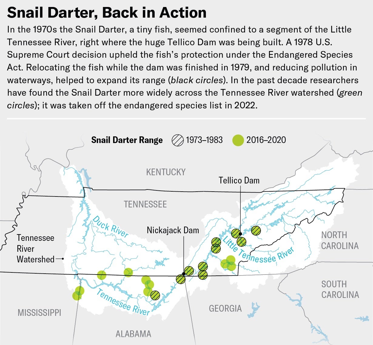 Map of Tennessee and bordering states shows Snail Darter range from 1973 to 1983 and from 2016 to 2020, highlighting how protection under the Endangered Species Act helped the previously endangered fish expand its range across the Tennessee River watershed.