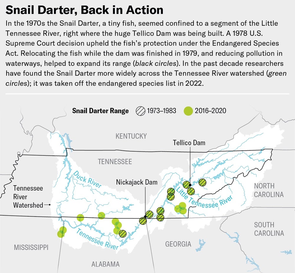Tennessee ve sınır eyaletlerinin haritası, Salyangoz Darter'ın 1973'ten 1983'e ve 2016'dan 2020'ye kadar olan aralığını gösteriyor ve Nesli Tükenmekte Olan Türler Yasası kapsamında korumanın, daha önce nesli tükenmekte olan balıkların Tennessee Nehri havzasındaki menzilini genişletmesine nasıl yardımcı olduğunu vurguluyor.