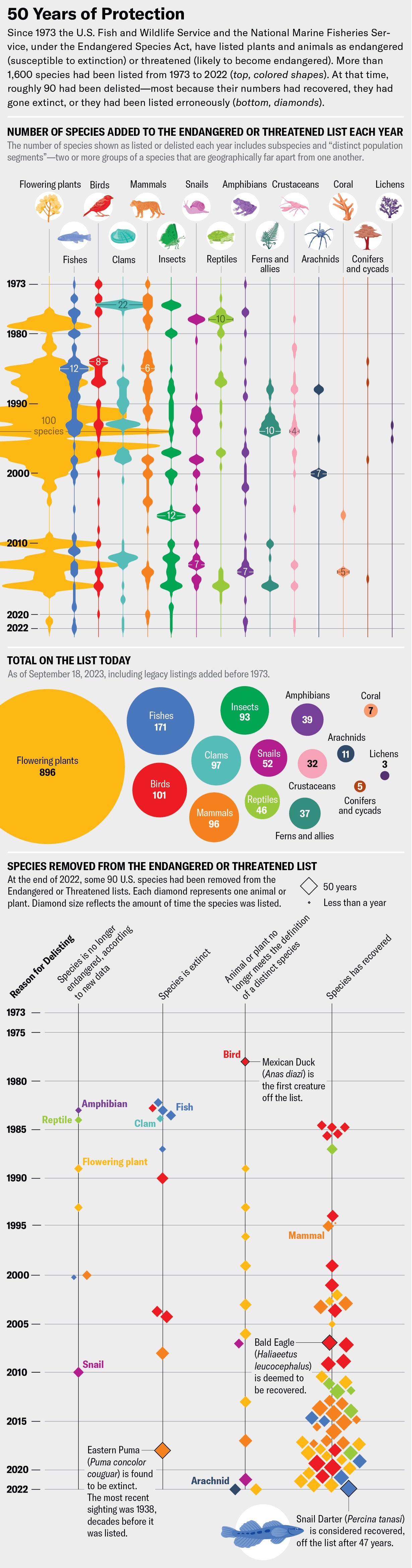 Violin plot shows number of species added to the endangered or threatened list each year, by taxonomic class, from 1973 to 2022. Accompanying time line shows how many species in each class were removed from the list each year, how long each species was on the list and the reason for delisting.
