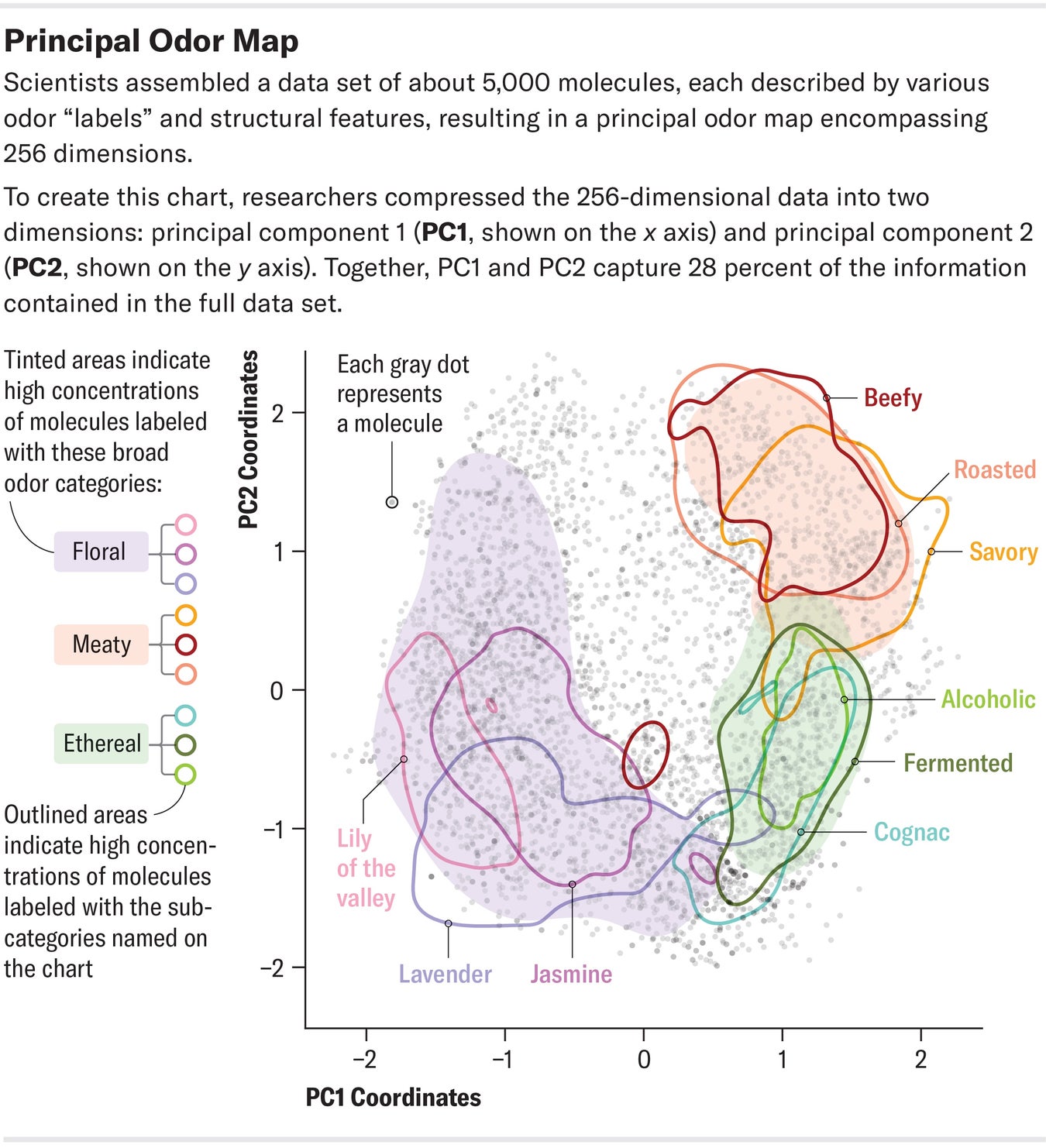 Machine Learning Creates a Massive Map of Smelly Molecules | Scientific ...