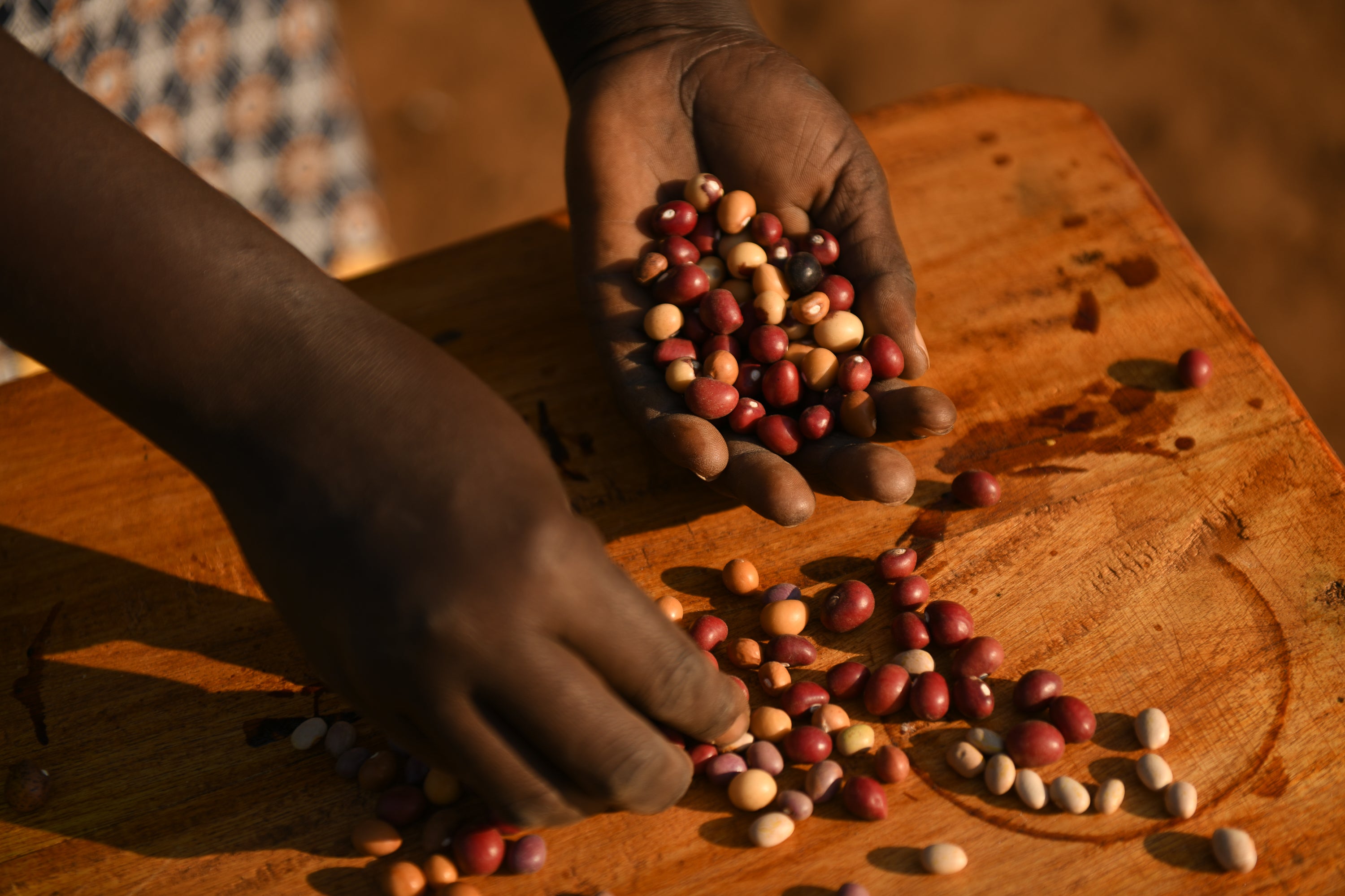 Close up of pigeon peas and beans.