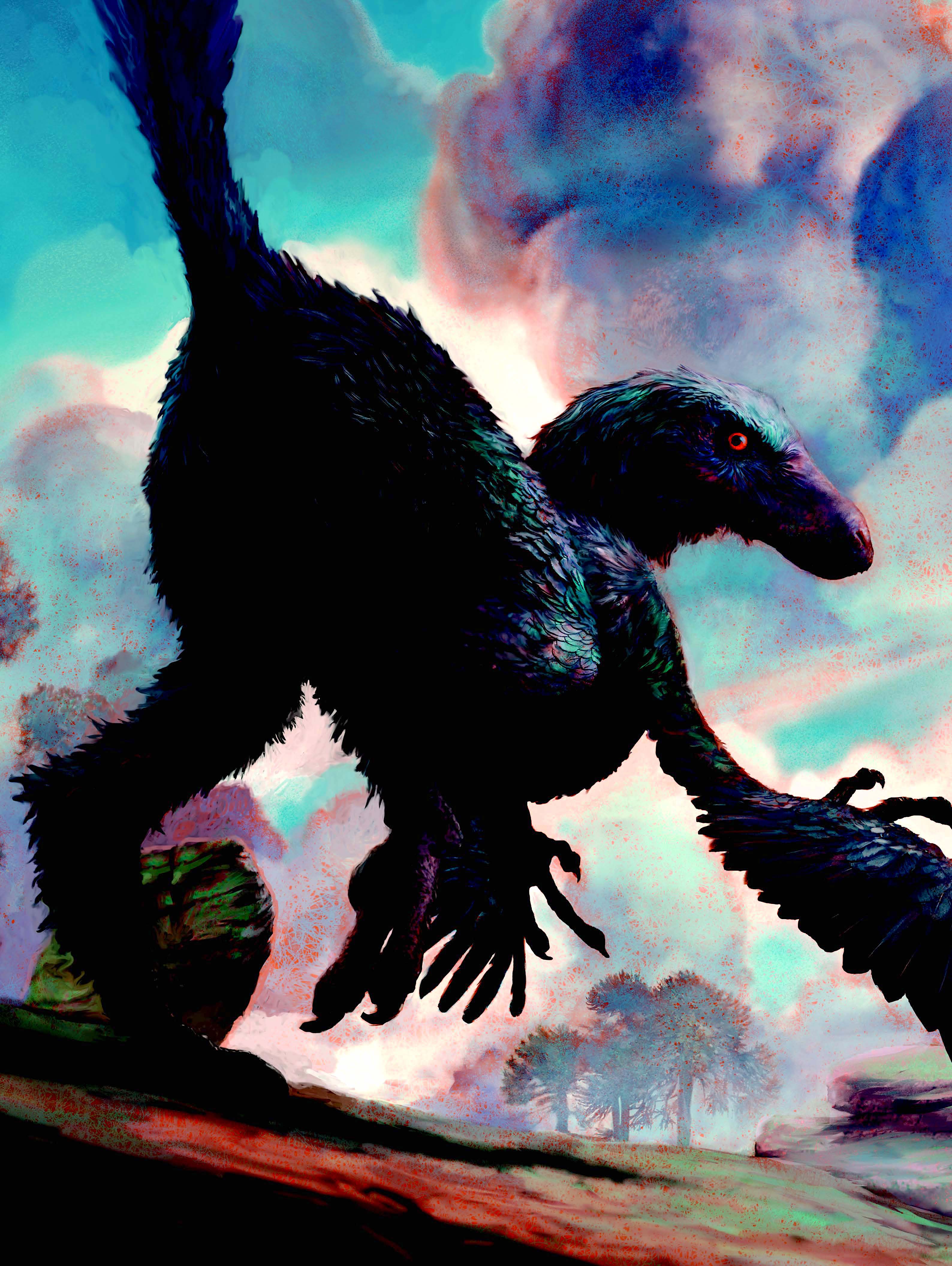 Feathered dinosaur shows birdlike traits—and a predator's gaze. January 2017.