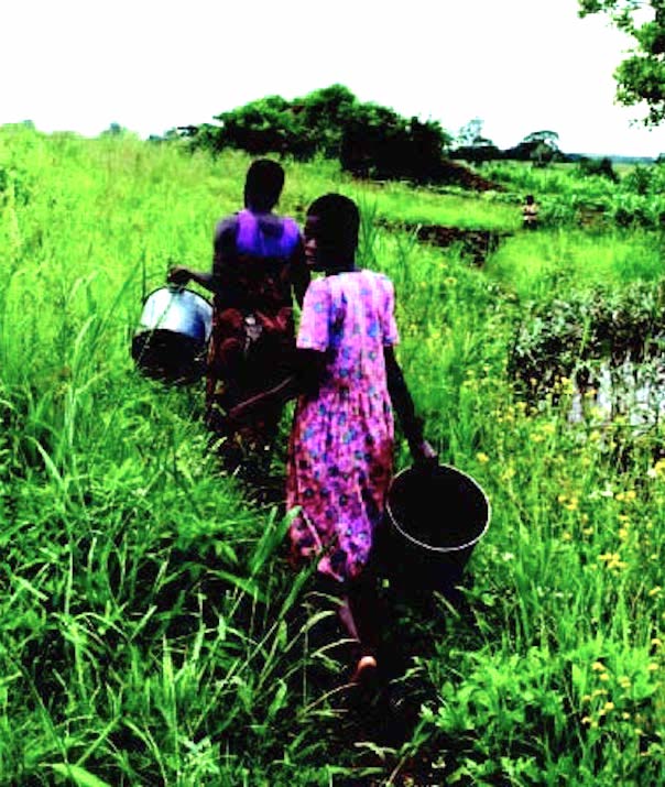 Cheap fertilizer is critical for food security in poverty-stricken areas such as in Malawi.