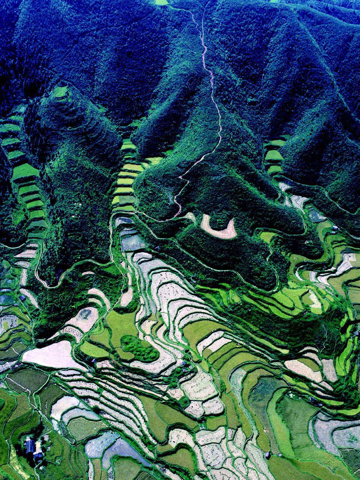Ancient agricultural terraces have grown food for millennia