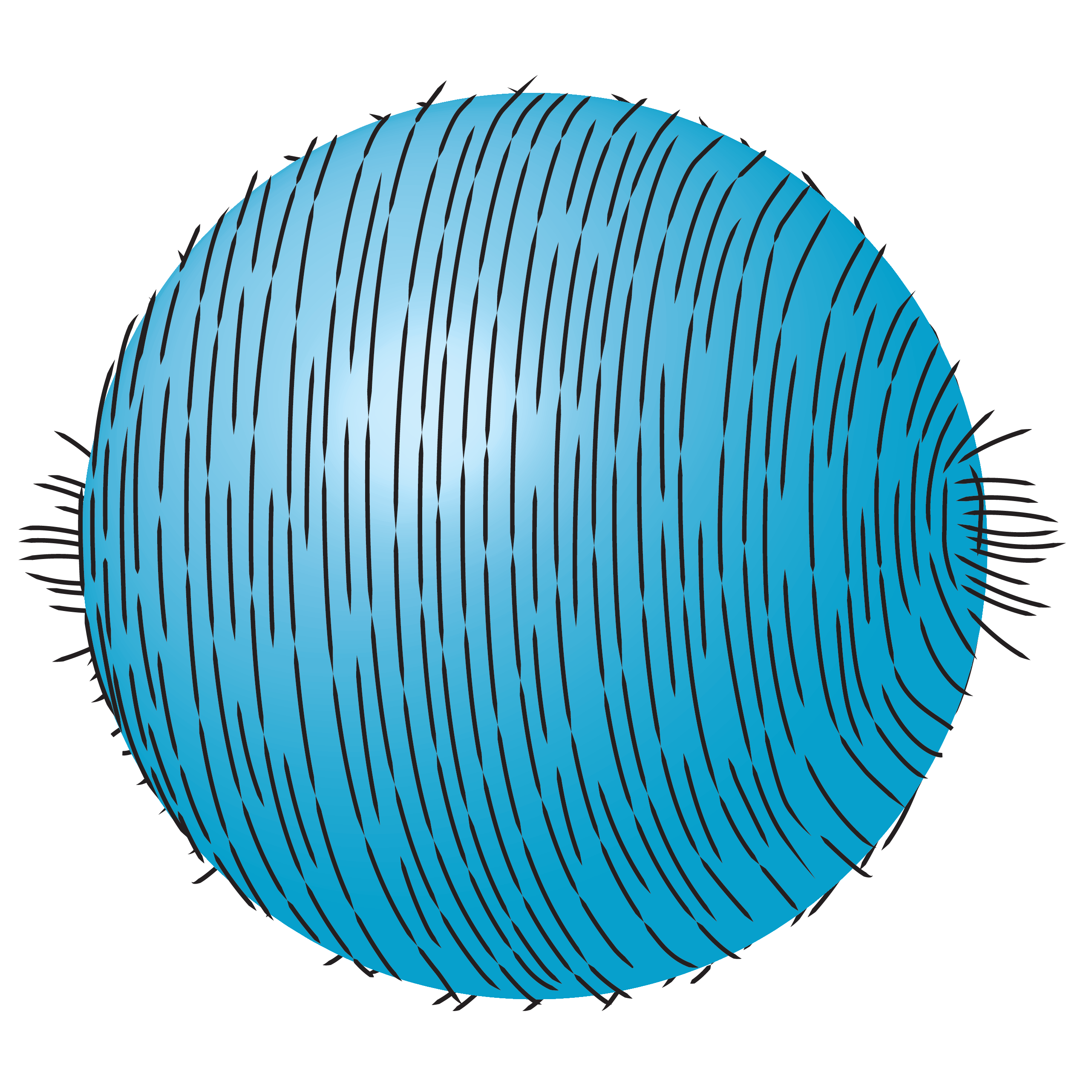 Graphic shows a sphere covered in small lines resembling hairs that are all combed in the same direction. Tufts on either side demonstrate the hairy ball theorem.