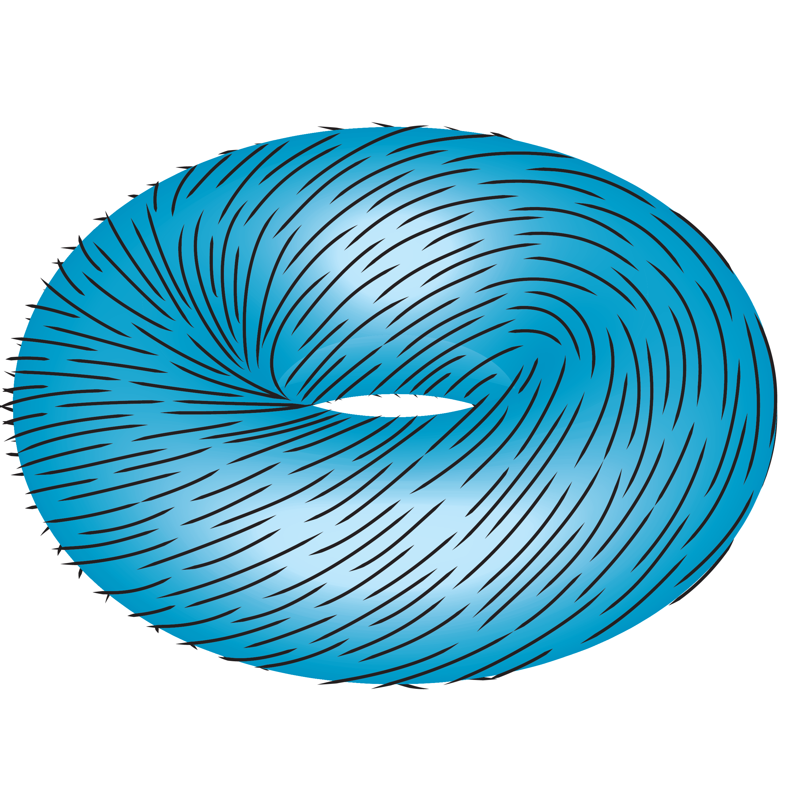 Graphic shows a doughnut shape covered in small lines resembling hairs that are all combed in the same direction, with no tufts resulting.