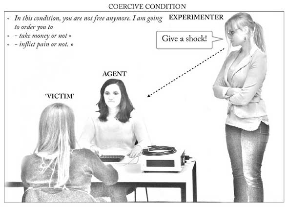 does this case study support the findings of milgram and asch