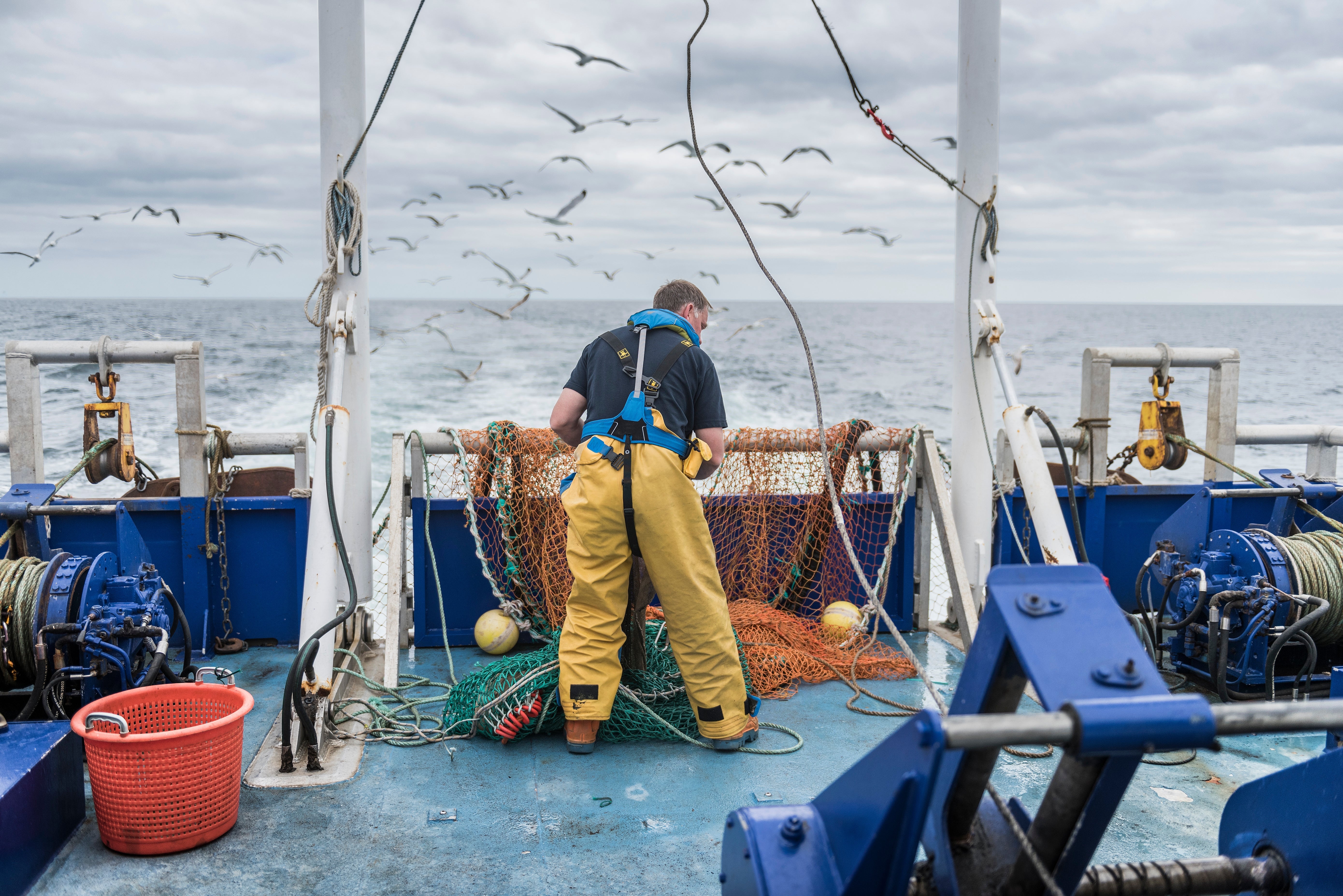 Close Up Of Fishing Net In The Water High-Res Stock Photo - Getty Images