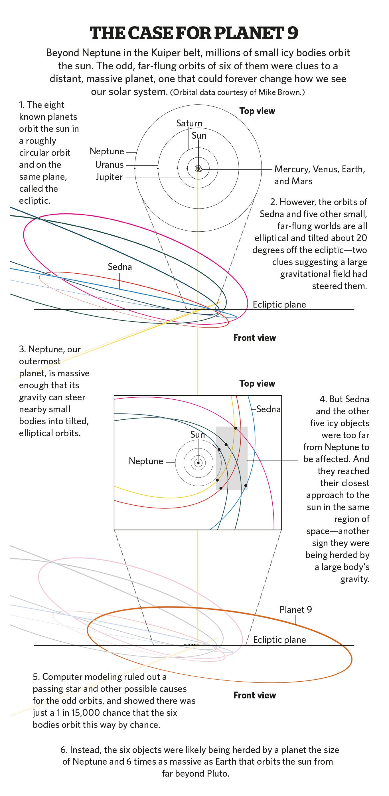 Orbit Large Print 