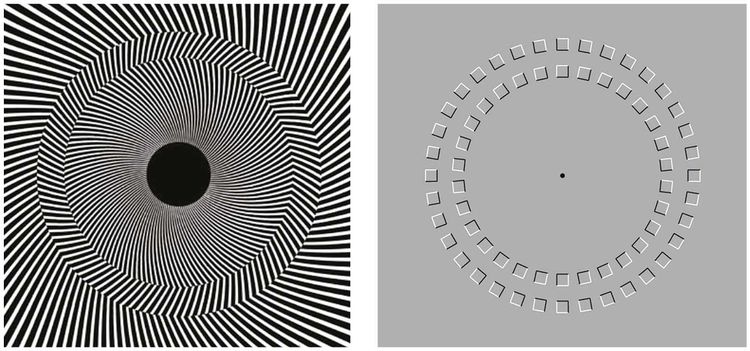 Visual Misconceptions Aging Brings Big Changes in Visual Perception | Scientific American