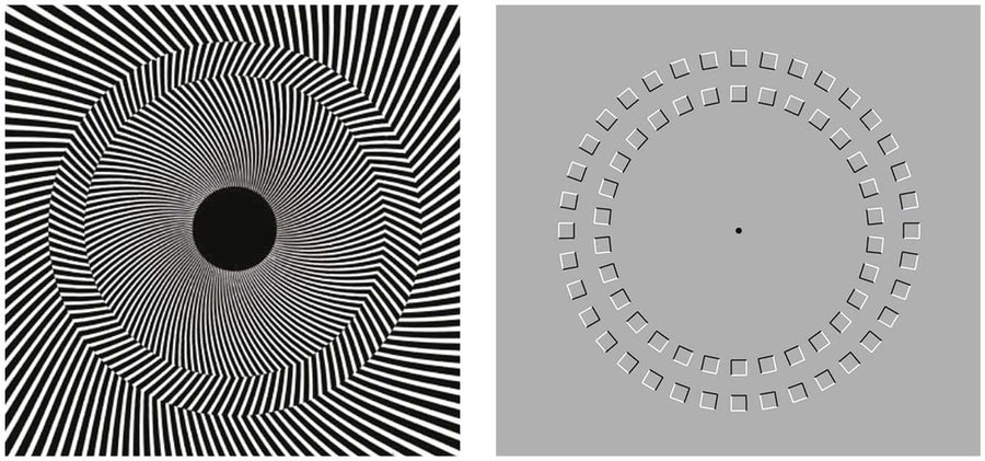 Study Claims Age Affects Perception of Classic Optical Illusion