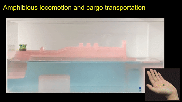 Origami millirobot that integrates capabilities of spinning-enabled multimodal movement, cargo transportation, and targeted drug delivery, tumbling through a laboratory obstacle course.