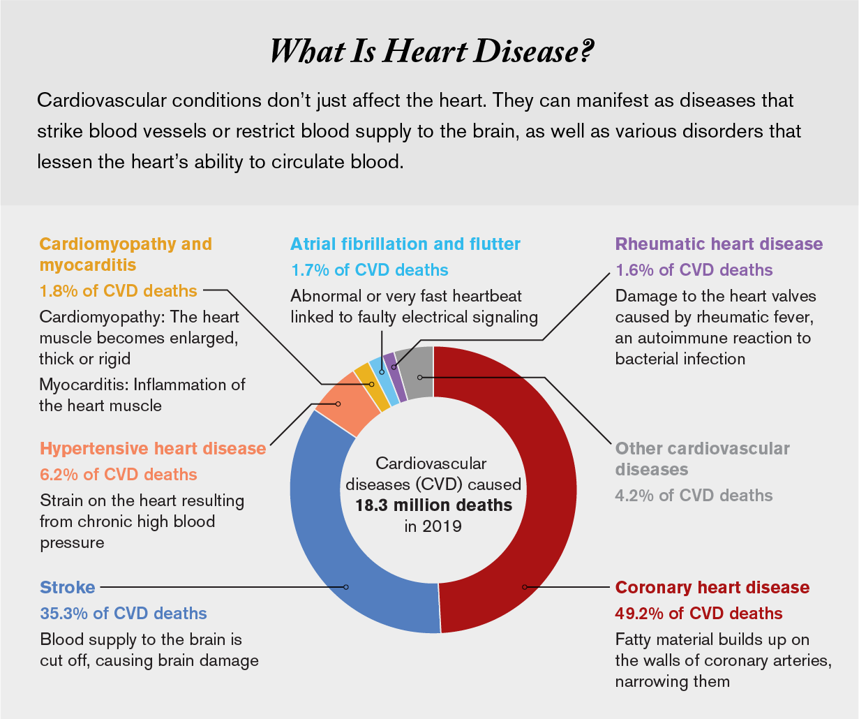 Chart lists six cardiovascular diseases that killed 18.3 million people in 2019 and shows percent of deaths caused by each.