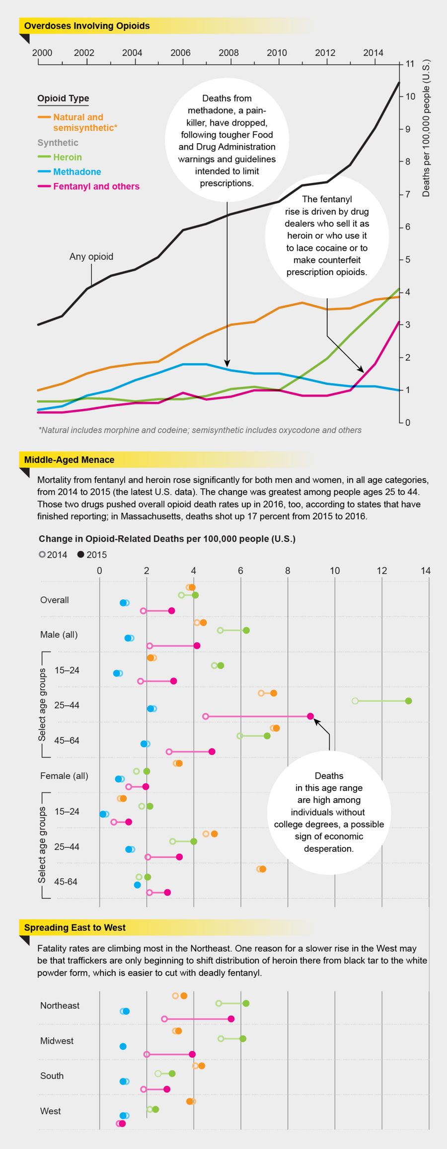 Deaths from Opioid Overdoses Soar | Scientific American