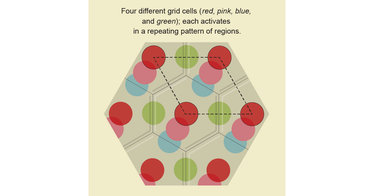 7 hexagonal tiles hold the same pattern of color dots. Some dots cross tile boundaries, creating a larger repeating pattern.