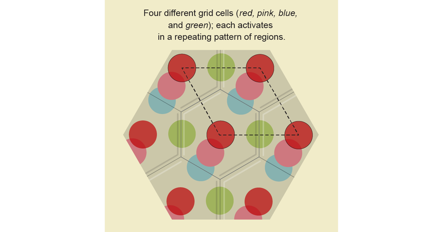 7 hexagonal tiles hold the same pattern of color dots. Some dots cross tile boundaries, creating a larger repeating pattern.