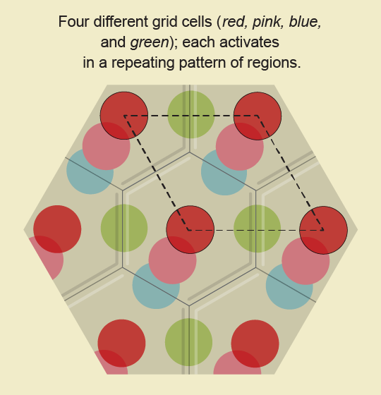 7 hexagonal tiles hold the same pattern of color dots. Some dots cross tile boundaries, creating a larger repeating pattern.
