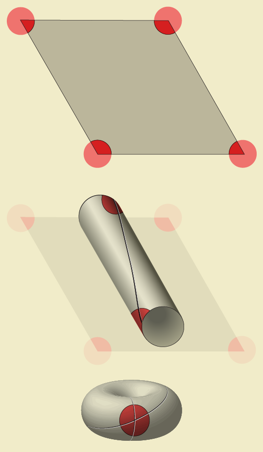 Parallelogram with a dot at each of 4 corners is rolled, forming a tube with 2 dots. Tube is curved into a torus with 1 dot.
